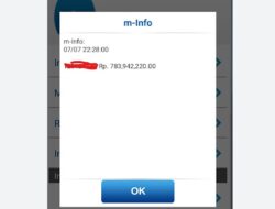 Fake Mobile Banking E Wallet Generator