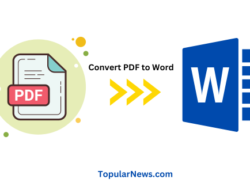 Cara Merubah PDF ke Word Tanpa Aplikasi di HP